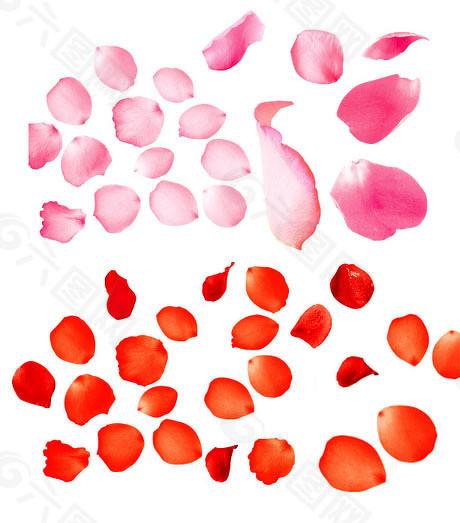 速配资 中芯国际并非沪股通标的，将被调出沪股通指数样本