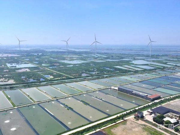 鸿牛配资 高质量发展看中国｜渔光一体  万亩水域“点绿成金”