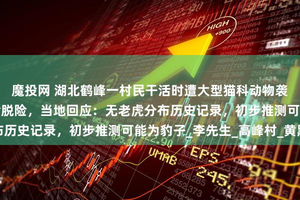 魔投网 湖北鹤峰一村民干活时遭大型猫科动物袭击，用锄头砸兽头搏命脱险，当地回应：无老虎分布历史记录，初步推测可能为豹子_李先生_高峰村_黄黑