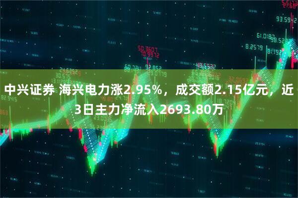 中兴证券 海兴电力涨2.95%，成交额2.15亿元，近3日主力净流入2693.80万