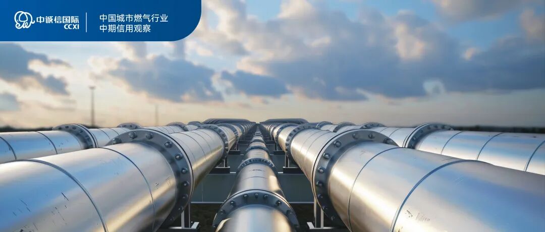 来源：中诚信国际 企业评级部